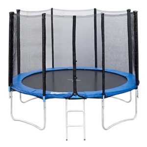 Батут 10FT-3,05м с защитной сеткой и лестницей