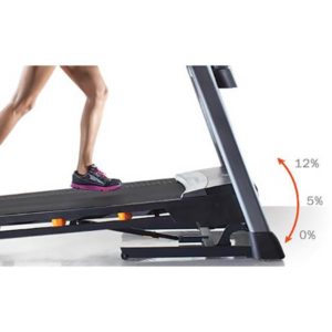 Begovaya Dorozhka Nordictrack T10 0 6