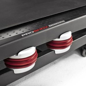 Begovaya Dorozhka Pro Form Power 1295i 6