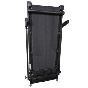 Begovaya Dorozhka Dfc Sentra T123s 4